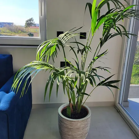 Doris Appartement