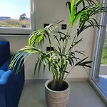 Doris Appartement