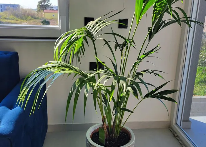 Doris Апартаменты