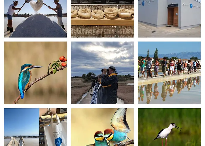 Doris Апартаменты Нин